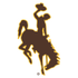 Wyoming Cowboys